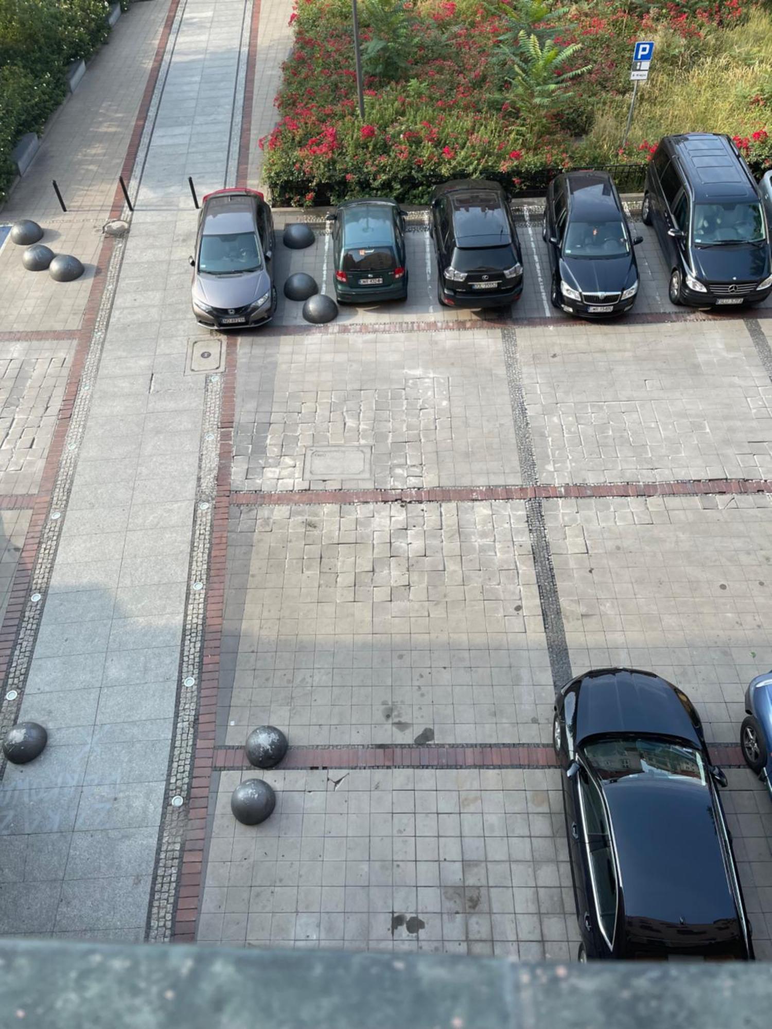 Rynek Pod Fredra Apartment Вроцлав Екстериор снимка